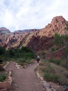 Bottom of the Grand Canyon, Phantom Ranch, mules on trail.