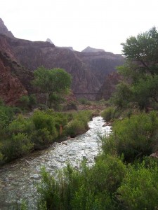 Bottom of the Grand Canyon