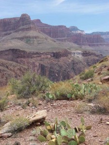 Heading toward Clear Creek.