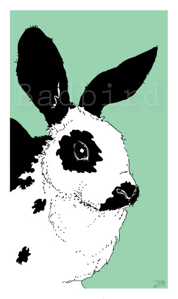 a black and white rabbit. A bunnies eyes are dark, soul sucking orbs. I could be wrong.