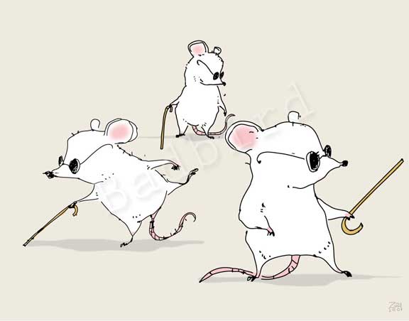 the three blind mice