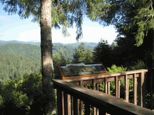 View from Top