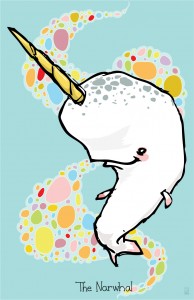 Narwhal by Andrea Zuill