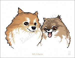 The Pom's